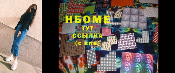 стаф Алзамай