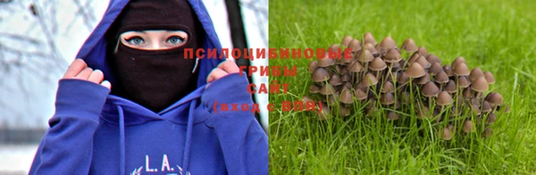наркотики Абаза