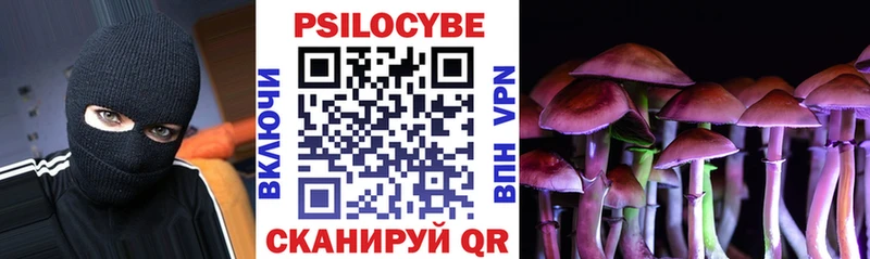 кракен ССЫЛКА Ахтырский Псилоцибиновые грибы Psilocybine cubensis сколько стоит